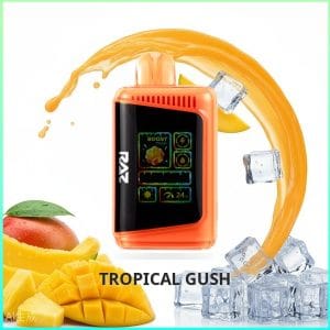 DC25000_Tropical_Gush Tropical Gush