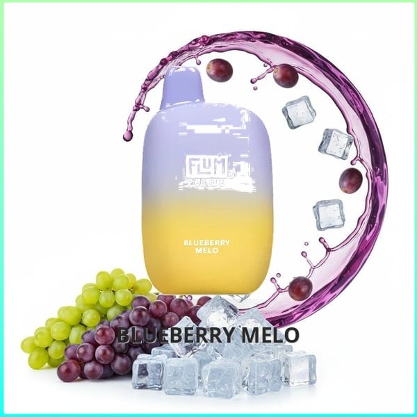 FLUM_Blueberry_Melo Flum Pebble - Blueberry Melo