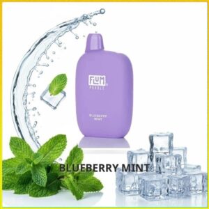FLUM_Blueberry_Mint Flum Pebble - Blueberry Mint