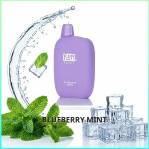 Flum Pebble - Blueberry Mint