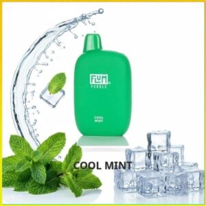 FLUM_Cool_Mint Flum Pebble - Cool Mint