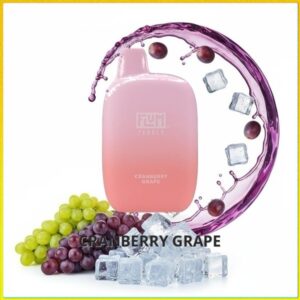 FLUM_Cranberry_Grape Flum Pebble - Cranberry Grape