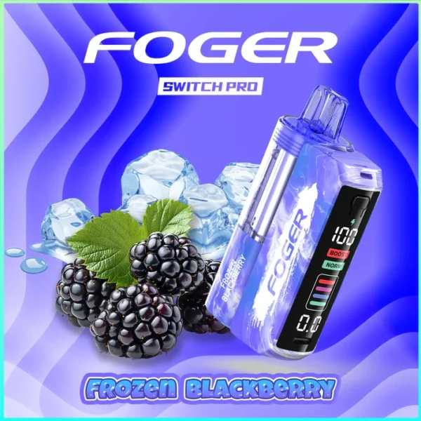 FROZEN-BLACKBERY Frozen Blackberry – Foger Switch Pro Kit | 30K Puffs