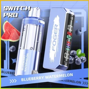 Blueberry Watermelon Foger Switch Pro Kit 30K Puffs