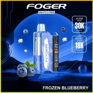 Frozen Blueberry – Foger Switch Pro Kit 30K Puffs