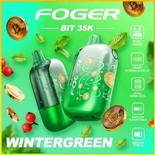 wintergreen-foger-bit-35k-cover_74f0f01b-7d17-4e16-bb92-e0c4046d28b5 WinterGreen – Foger Bit 35K Puffs